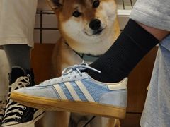 -CENCHI 汵奇咖啡(东四店)