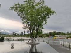 -云里小坐·海泉湾·团建·宴席·下午茶(金堂海泉湾店)