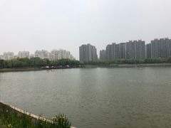 -南翔镇银翔湖公园