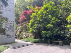 -南山植物园