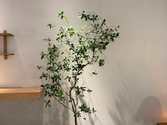 -喜茶(北京财富购物中心店)