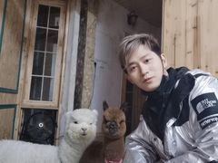 -猫色咖啡·猫咖