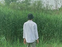 -白鹭湾湿地公园