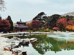 -香山公园