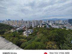 -金鸡山公园