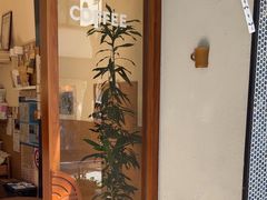 -Radar Coffee(思南路店)