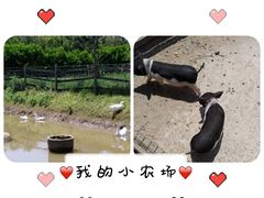 -前小桔亲子创意农场·草莓采摘·露营烧烤