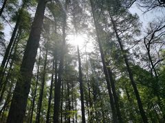 -长春市南湖公园