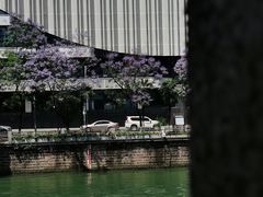 -成都市活水公园