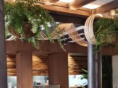 -菌自由丨野生菌火锅特色庭院餐厅(丽江古城店)