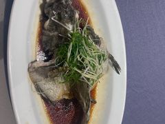 -顺峰(农展馆店)
