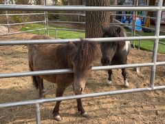 -意大利农场度假村