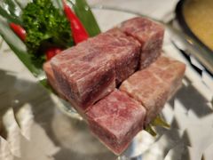-汤城·料青山