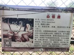 -青藏高原野生动物园