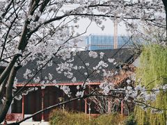 -堤角公园