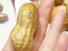 -美华大炒鸽子店