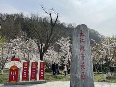 -幕燕滨江·长江观音景区