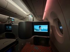 -新加坡航空公司(ION)
