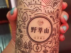 -野萃山·潮汕厚果汁(十亩地店)
