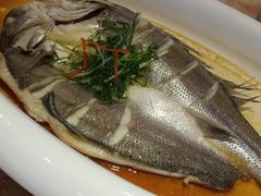 -沪华海鲜大酒楼(南汇店)