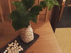 华清御汤酒店-西安华清御汤酒店