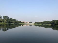 -东莞植物园