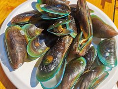 -蓝湾碧波·老字号·疍家非遗海上餐厅