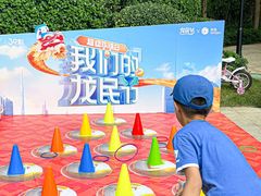 -龙湖首开·天宸原著二期