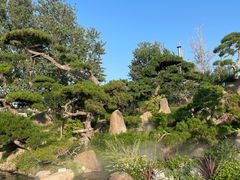 -罗红摄影艺术馆