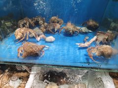 -潮庭·大连海鲜·炭火烧烤·扇贝王(大连店)
