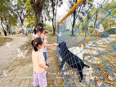 -广东花都香草世界旅游度假区