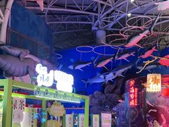 -烟台海昌鲸鲨海洋公园