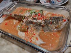 -肥猫(义乌万达店)