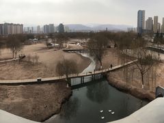 -吾穆勒蓬灰牛肉面·清真(北滨河中路店)
