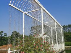 -迪茵湖田家舍生态农场