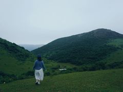 -大姆山草场