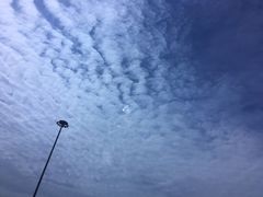 -星巴克(北京佳程广场店)