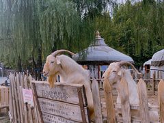 -蒙古大营(朝阳公园店)