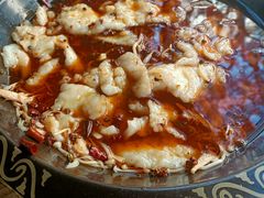 -金三可市井水煮鱼(金碧园店)