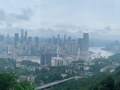 -南山植物园