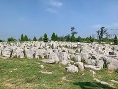 -原山国家森林公园