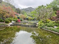 -云溪植物园