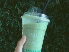 原谅-Green Option(官舍店)