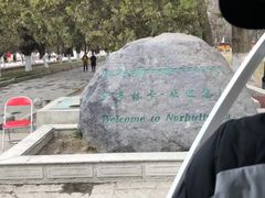 -罗布林卡