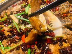 老板恋上鱼-老板恋上鱼(环山路店)