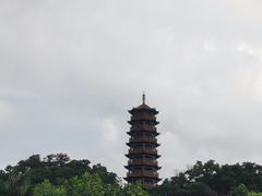 -红花山公园