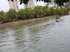 -润和祥小砵头甜酒酿