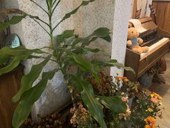 -绿房子方寸咖啡(星海名城店)