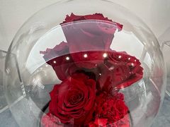 -ROSEONLY诺誓(广州K11店)