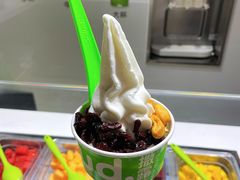 -Salud撒露欧洲冻酸奶(北苑上品店)